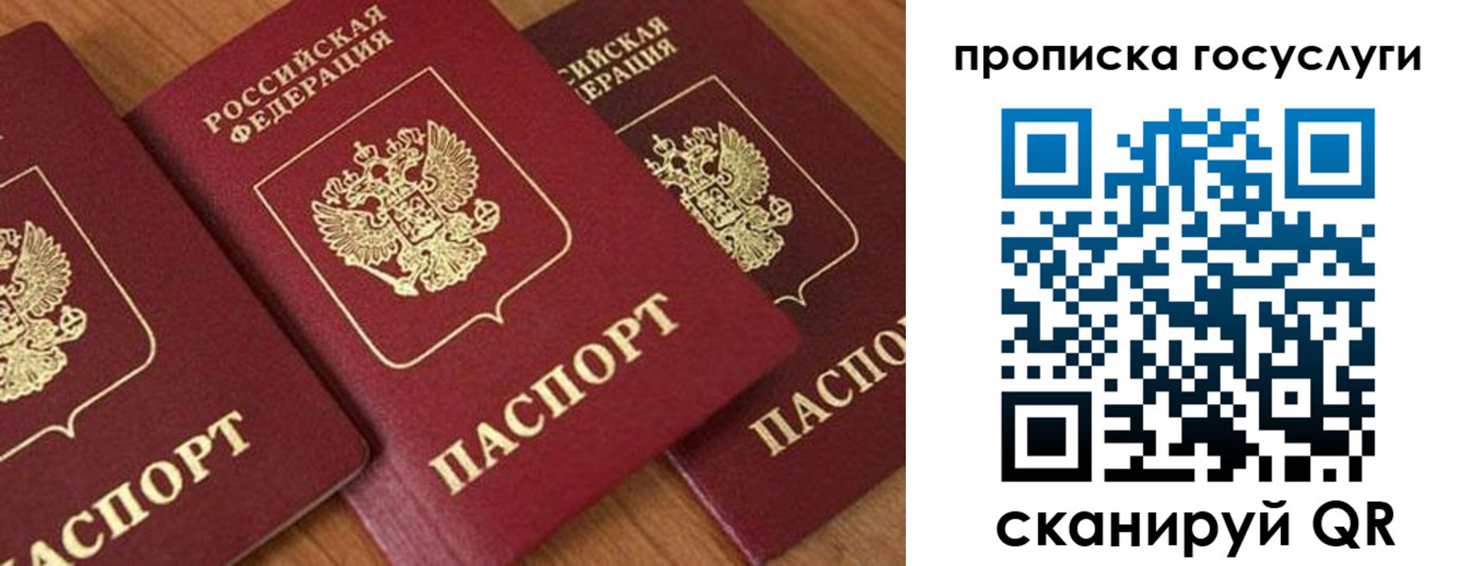 временная прописка в Волоколамске